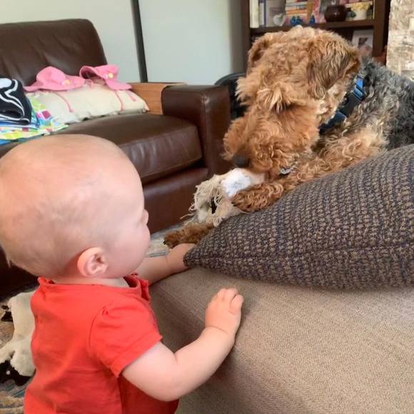 Meet your Posher, Tracy - Picture 1 of 1